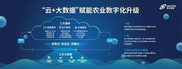 神州信息郭为 以大数据赋能农业升级，信息科技驱动产业变革